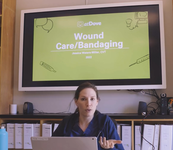 Thumbnail - ICU Bootcamp - Wound Care and Bandaging